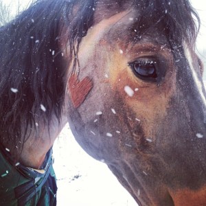 543895_10152389560780206_163211897_n