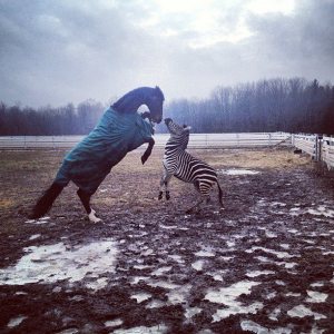 580985_10152561783610206_372198748_n